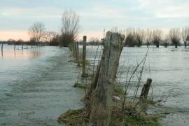 overstroomde uiterwaard van de IJssel