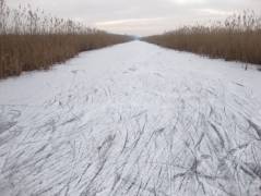 Bij Naardermeer