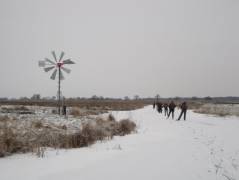 Nieuwkoopsche Plassen