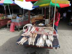 markt, Paramaribo